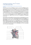 Latin Medical Terminology - 2014/15 2nd semester 1. The