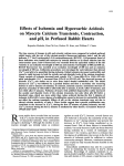 Effects of Ischemia and Hypercarbic Acidosis on Myocyte Calcium