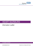 HEART MURMURS