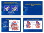 Basic concepts to Understand Basic concepts to Understand