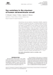 Sex variations in the structure of human atrioventricular annuli