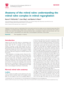 Anatomy of the mitral valve - European Heart Journal