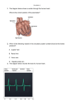 1. The diagram below shows a section through the human heart