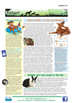 Itchy scratchy – is your pet affected? Rabbits: don`t get caught on the