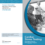 stress testing brochure
