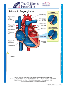 Tricuspid Regurgitation (TR) - The Children`s Heart Clinic, PA