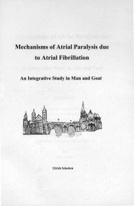 Mechanisms of Atrial Paralysis due to Atrial Fibrillation