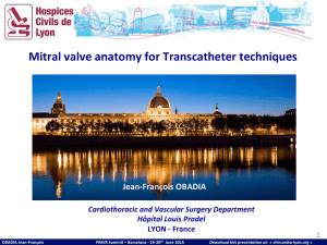 Mitral valve anatomy for Transcatheter techniques