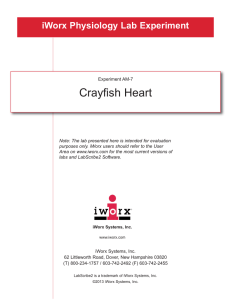 Crayfish Heart