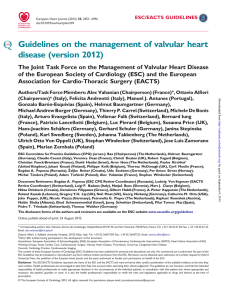 Guidelines on the management of valvular heart disease (version 2012)