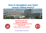How to strengthen your heart muscle (failing heart)? Daniel Pella, MD, PhD.