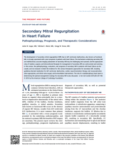 2015 Secondary Mitral Regurgitation in Heart Failure