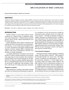 mri evaluation of knee cartilage