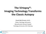 McClintock-Virtopsy-PI 2011