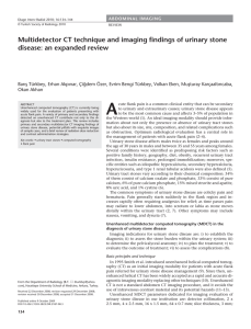 Multidetector CT technique and imaging findings of urinary stone