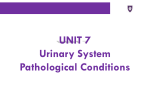 UNIT 7 Urinary System Pathological Conditions