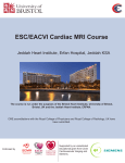 ESC/EACVI Cardiac MRI Course Jeddah Heart Institute, Erfan Hospital, Jeddah KSA