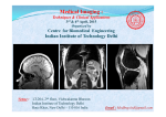 Program Brochure - Medical Imaging: Techniques and