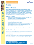 Roseola Fact Sheet