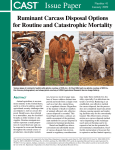 Ruminant Carcass Disposal Options for Routine and Catastrophic