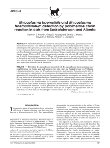 Mycoplasma haemofelis and Mycoplasma haemominutum detection