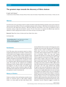 The greatest steps towards the discovery of Vibrio cholerae