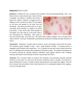 Chicken Pox (Herpes varicella) Symptoms: In children the rash is