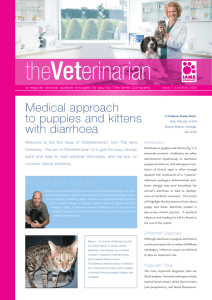 Medical approach to puppies and kittens with diarrhoea