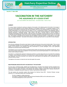 vaccination in the hatchery
