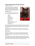 Feline Inflammatory Bowel Disease