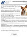 Canine Vaccination Recommendations