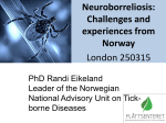 Neuroborreliosis: Challenges and experiences from Norway
