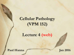 Cell Pathology Lecture 4