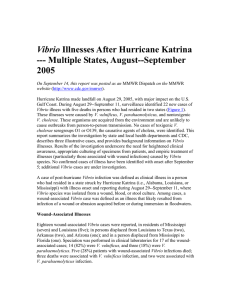 Vibrio Illnesses After Hurricane Katrina