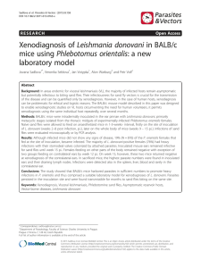 Xenodiagnosis of Leishmania donovani in BALB/c mice using