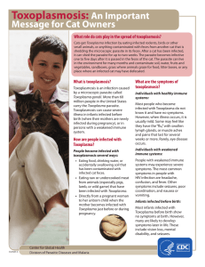 Toxoplasmosis: An Important Message for Cat Owners