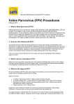 Feline Parvovirus (FPV) Procedures