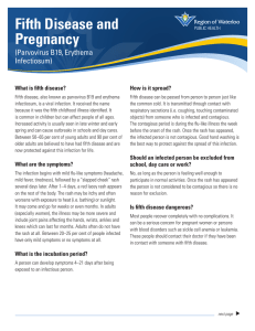 Fifth Disease and Pregnancy - Region of Waterloo Public Health
