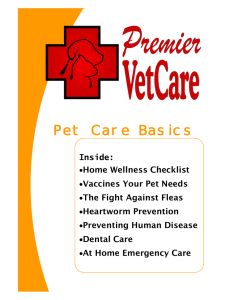 Pet Care Basics - Premier VetCare