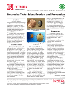 Nebraska Ticks: Identification and Prevention