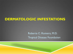 dermatologic infestations - Pediatric Infectious Disease Society of