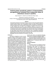 Antimicrobial sensitivity pattern of Haemophilus paragallinarum