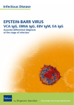 EpSTEIN-BARR VIRUS