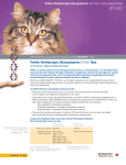Feline Hemotropic Mycoplasma (FHM) Test (formerly