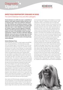 Canine Distemper Virus and other Infectious Respiratory