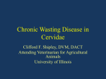CWD in Cervidae