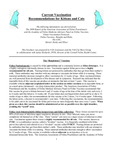 Current Vaccination Recommendations for Kittens and Cats