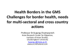 Health Borders in the GMS Challenges for border health, needs for