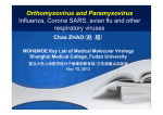 Orthomyxovirus Orthomyxovirus and Paramyxovirus Paramyxovirus I