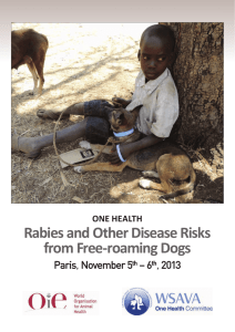 Proceedings One Health Rabies and Other Risks from